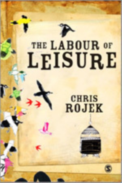 The Labour of Leisure : The Culture of Free Time, Hardback Book