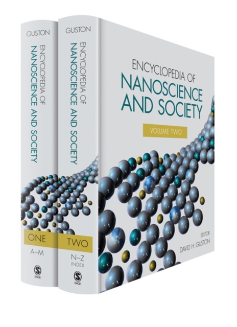 Encyclopedia of Nanoscience and Society, Multiple-component retail product Book