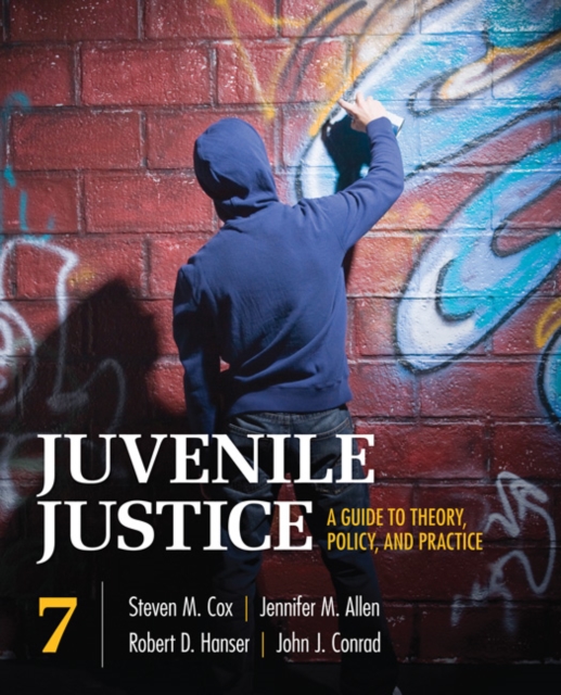 Juvenile Justice : A Guide to Theory, Policy, and Practice, Paperback / softback Book