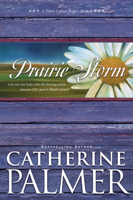 Prairie Storm, EPUB eBook