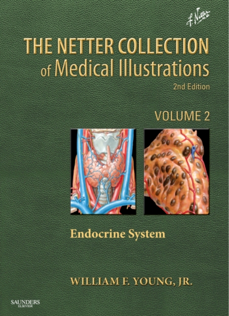 The Netter Collection of Medical Illustrations: The Endocrine System : Volume 2, Hardback Book