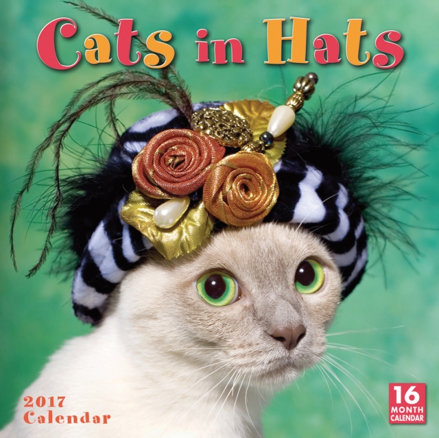 CATS IN HATS W 2017,  Book
