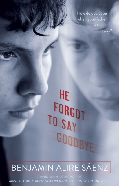 He Forgot to Say Goodbye, Paperback / softback Book