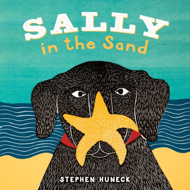 Sally in the Sand, Board book Book
