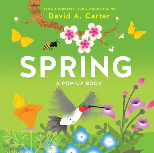 Spring : A Pop-up Book, Novelty book Book