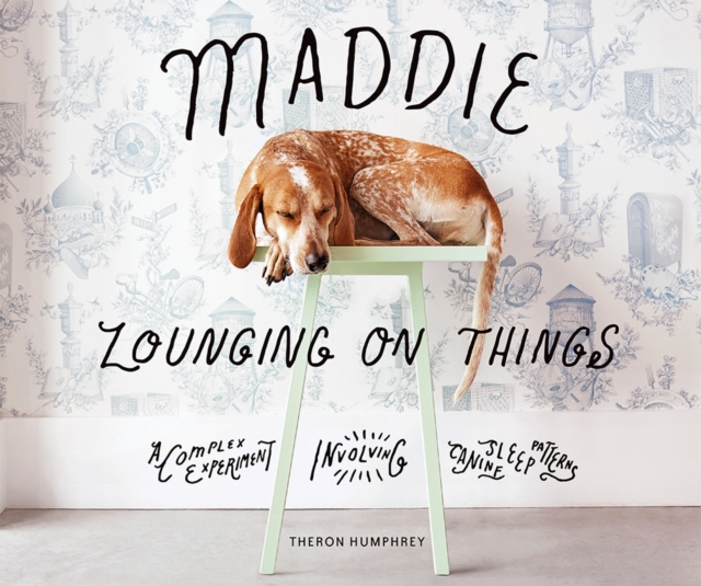 Maddie Lounging on Things : A Complex Experiment Involving Canine Sleep Patterns, Hardback Book