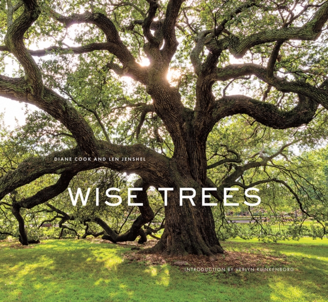 Wise Trees, Hardback Book