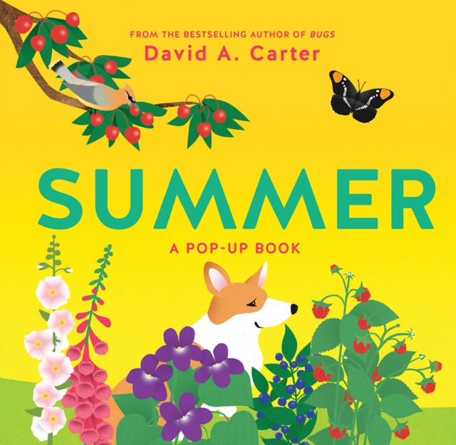 Summer : A Pop-Up Book, Hardback Book