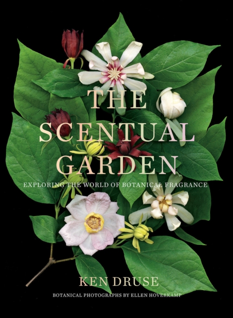 The Scentual Garden: Exploring the World of Botanical Fragrance, Hardback Book