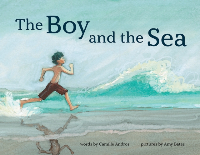 The Boy and the Sea, Hardback Book