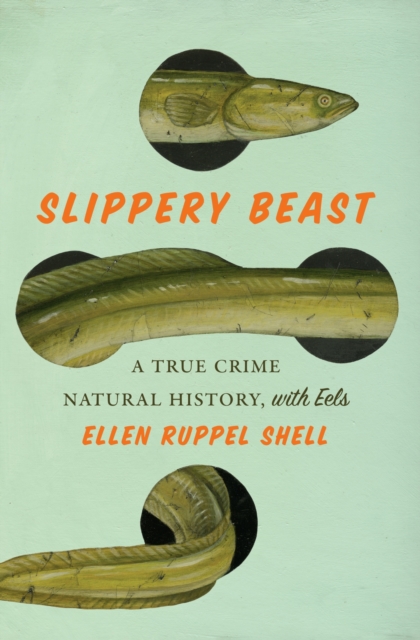 Slippery Beast : A True Crime Natural History, with Eels, Hardback Book