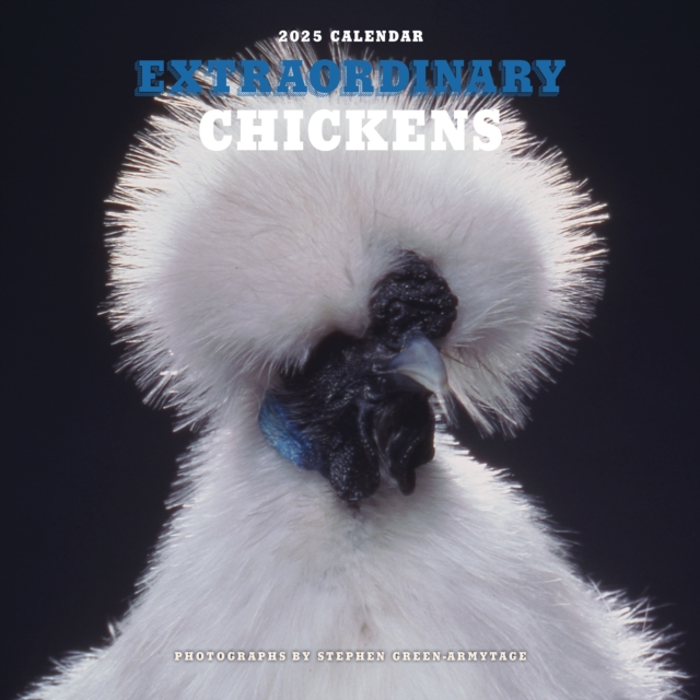 Extraordinary Chickens 2025 Wall Calendar, Calendar Book
