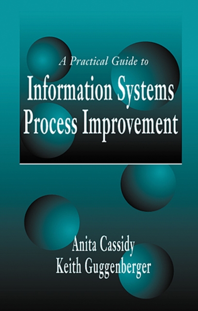A Practical Guide to Information Systems Process Improvement, PDF eBook