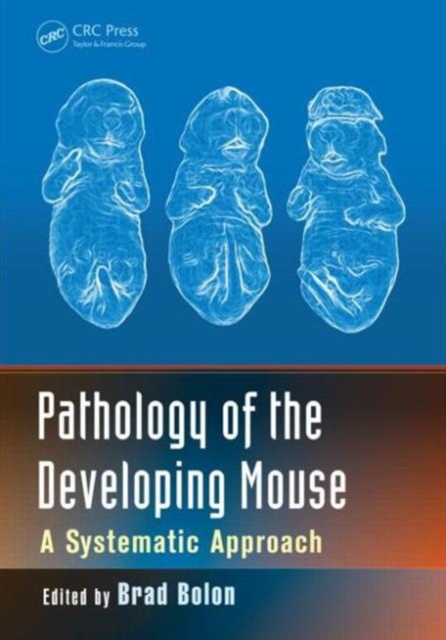 Pathology of the Developing Mouse : A Systematic Approach, Hardback Book