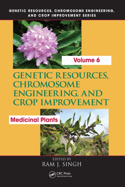 Genetic Resources, Chromosome Engineering, and Crop Improvement : Medicinal Plants, Volume 6, PDF eBook
