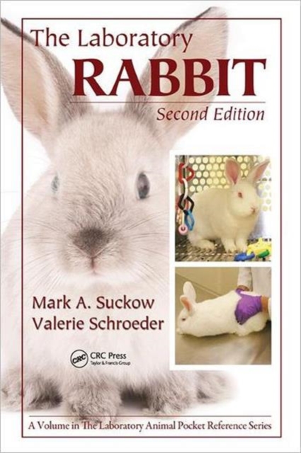 The Laboratory Rabbit, Paperback / softback Book