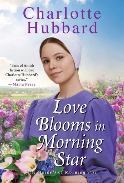 Love Blooms in Morning Star, Paperback / softback Book