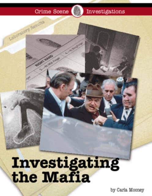 Investigating the Mafia, PDF eBook