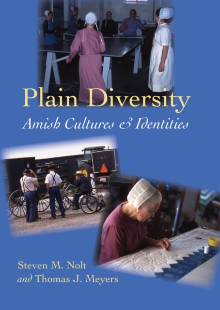 Plain Diversity, EPUB eBook