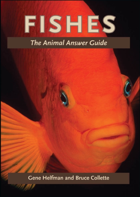 Fishes, EPUB eBook