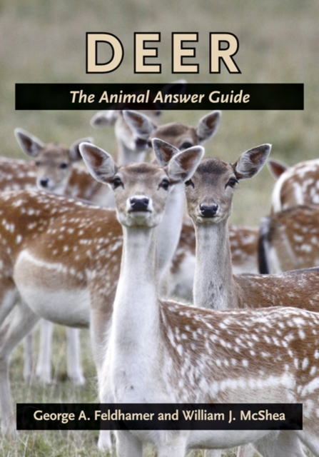 Deer : The Animal Answer Guide, Hardback Book