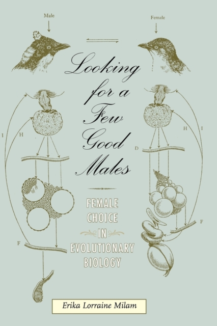 Looking for a Few Good Males : Female Choice in Evolutionary Biology, Paperback / softback Book