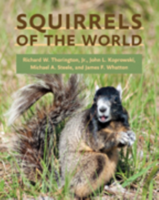 Squirrels of the World, Hardback Book