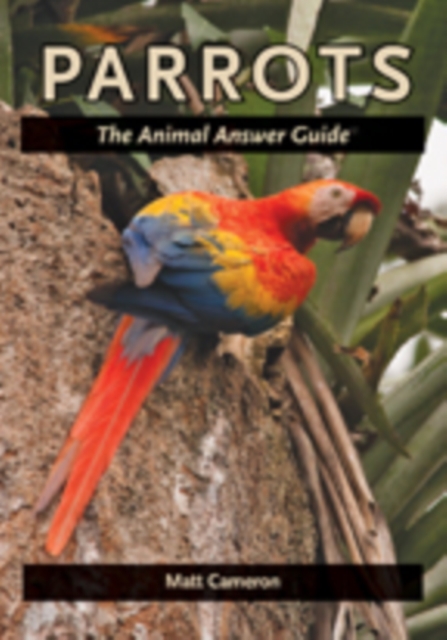 Parrots : The Animal Answer Guide, Hardback Book