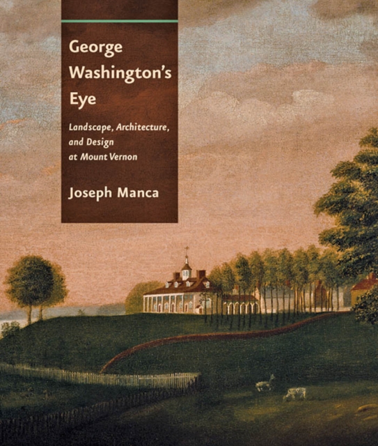 George Washington's Eye, EPUB eBook