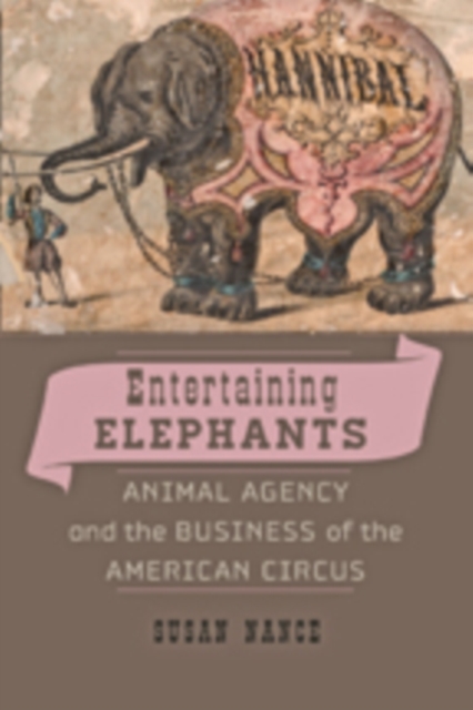Entertaining Elephants : Animal Agency and the Business of the American Circus, Hardback Book