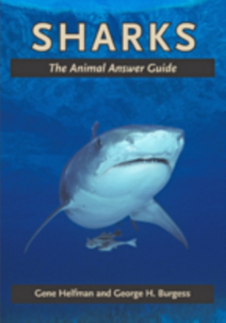 Sharks : The Animal Answer Guide, Hardback Book