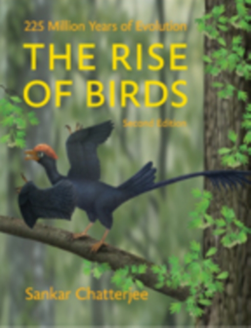 The Rise of Birds : 225 Million Years of Evolution, Hardback Book