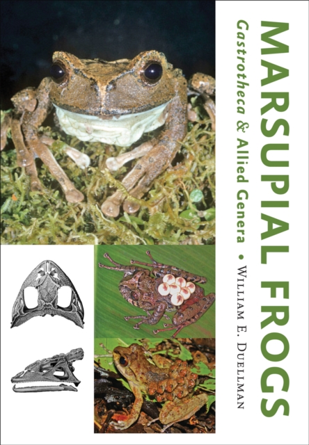 Marsupial Frogs, EPUB eBook