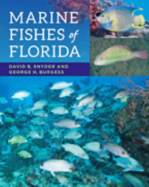Marine Fishes of Florida, Paperback / softback Book