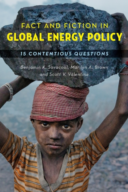 Fact and Fiction in Global Energy Policy : Fifteen Contentious Questions, Paperback / softback Book