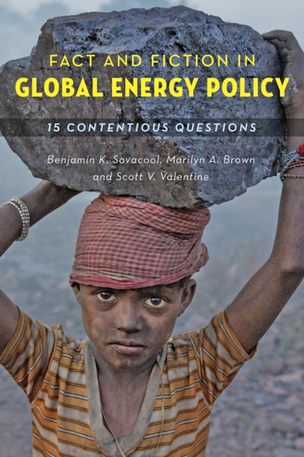 Fact and Fiction in Global Energy Policy, EPUB eBook