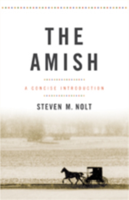 The Amish : A Concise Introduction, Paperback / softback Book