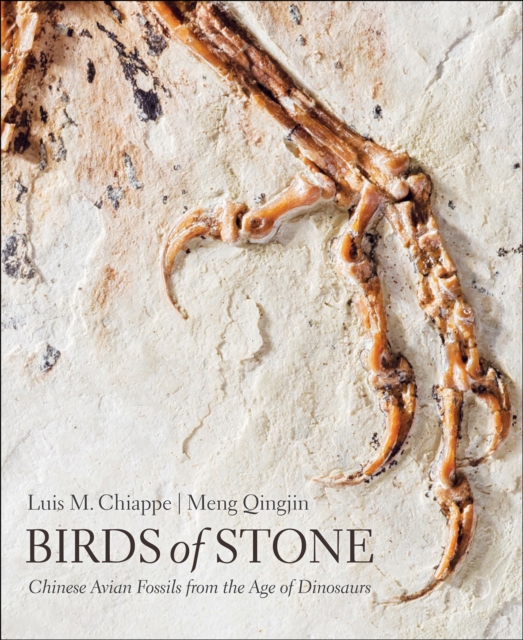 Birds of Stone, EPUB eBook