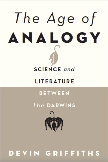The Age of Analogy, EPUB eBook