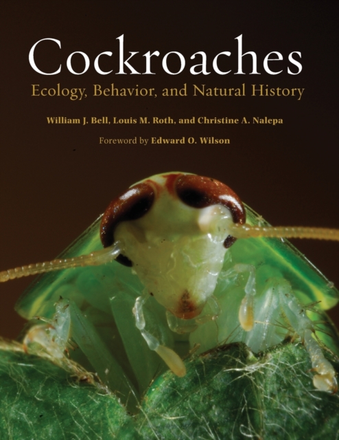 Cockroaches : Ecology, Behavior, and Natural History, Paperback / softback Book