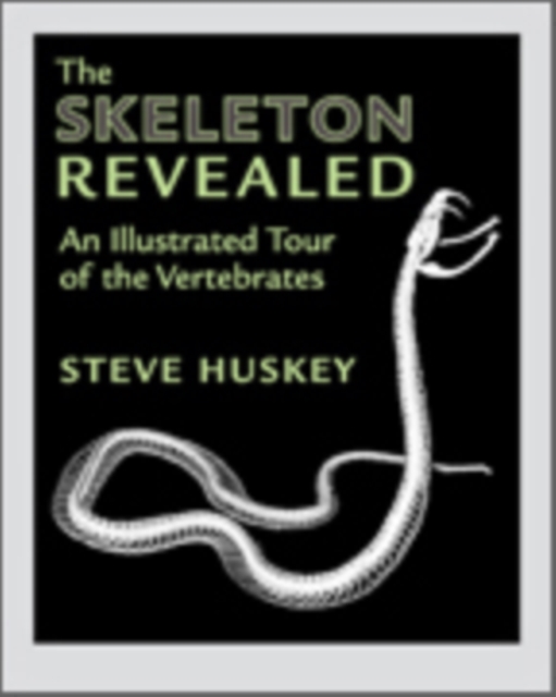 The Skeleton Revealed : An Illustrated Tour of the Vertebrates, Hardback Book