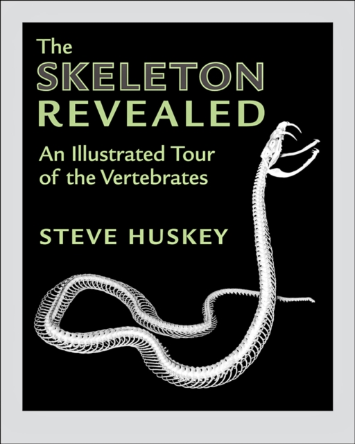The Skeleton Revealed, EPUB eBook