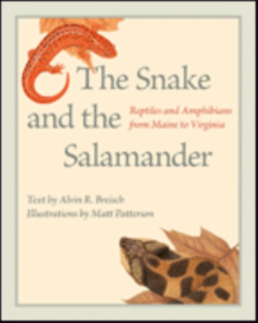 The Snake and the Salamander : Reptiles and Amphibians from Maine to Virginia, Hardback Book