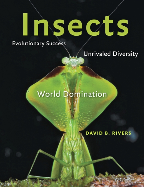 Insects, EPUB eBook