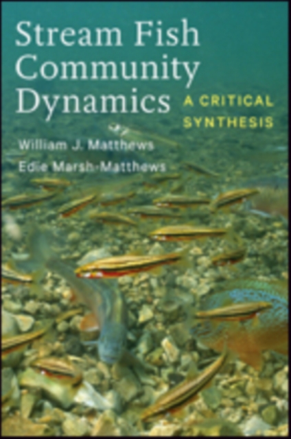 Stream Fish Community Dynamics : A Critical Synthesis, Hardback Book