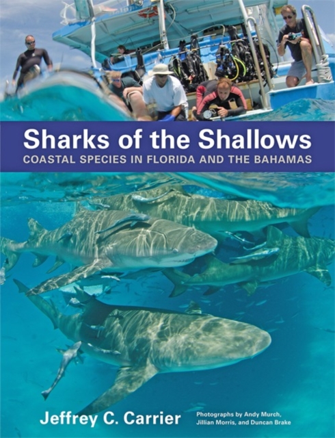 Sharks of the Shallows : Coastal Species in Florida and the Bahamas, Hardback Book