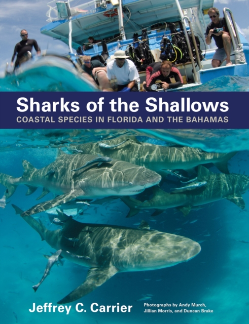 Sharks of the Shallows, EPUB eBook