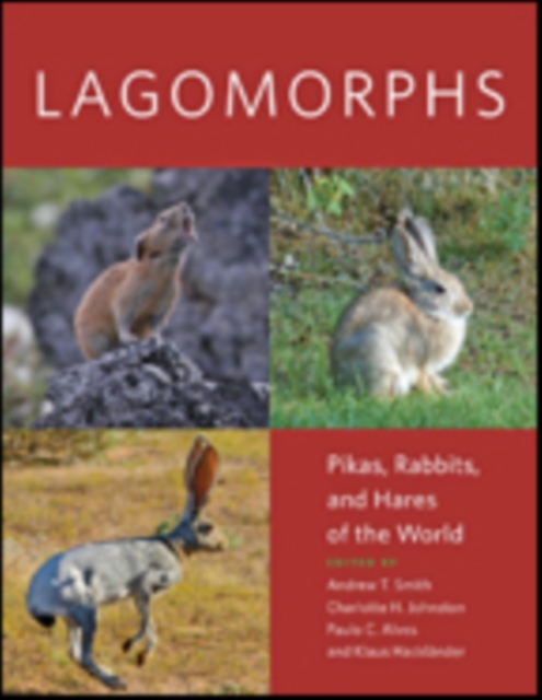 Lagomorphs : Pikas, Rabbits, and Hares of the World, Hardback Book