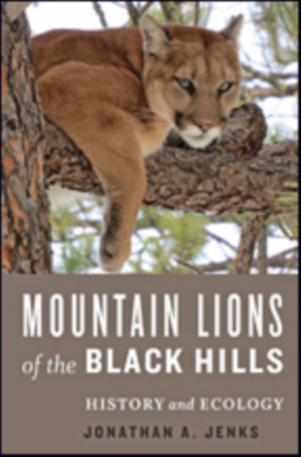 Mountain Lions of the Black Hills : History and Ecology, Hardback Book