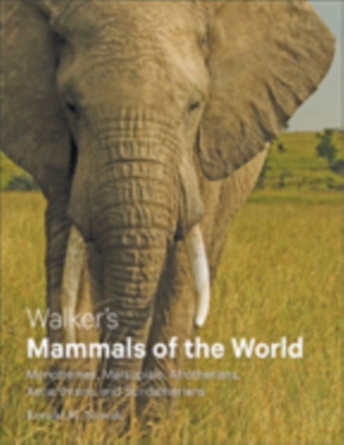 Walker's Mammals of the World : Monotremes, Marsupials, Afrotherians, Xenarthrans, and Sundatherians, Hardback Book